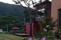그 숨막히게 덥던 여름이 가고 코스모스 피는 산달뱅이 가을입니다