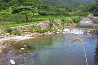 청정한바람 시원한계곡 정겨운풍경!!! 산달뱅이 하조마을