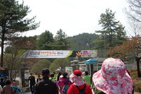 부녀회 야유회(청남대에서) 사진입니다. 