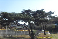 우리마을 가을풍경