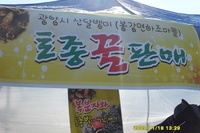 토종벌판매사진