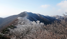 연회장