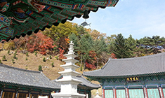 주차